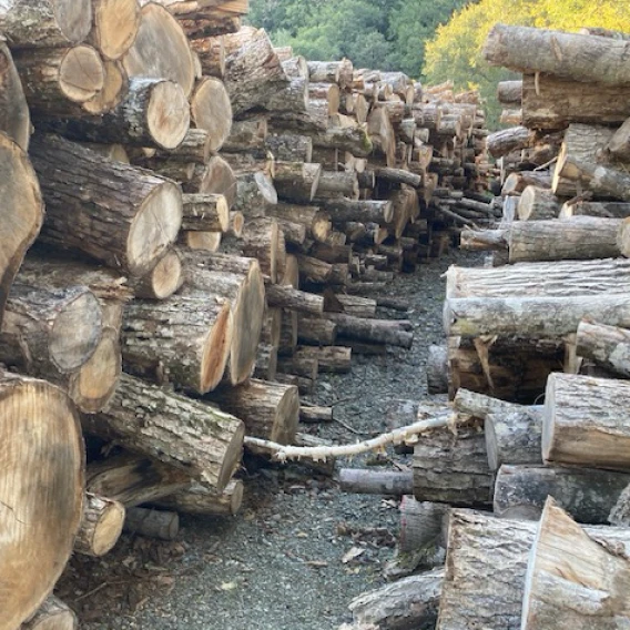 ショベルカーと丸太