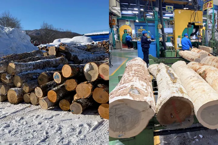 トレーサビリティ体験