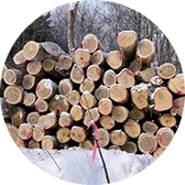 一般製材・合板用